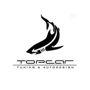 TopCar Design